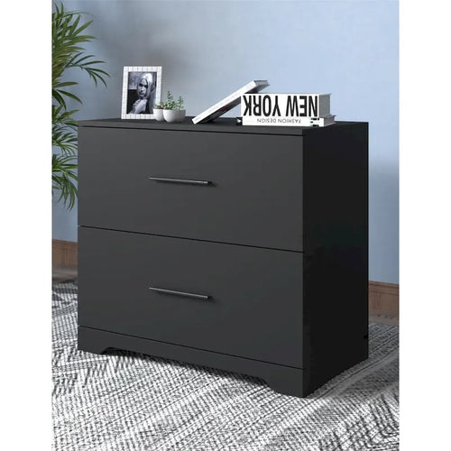 Classeur latéral à 2 tiroirs, meuble de rangement pour bureau à domicile
